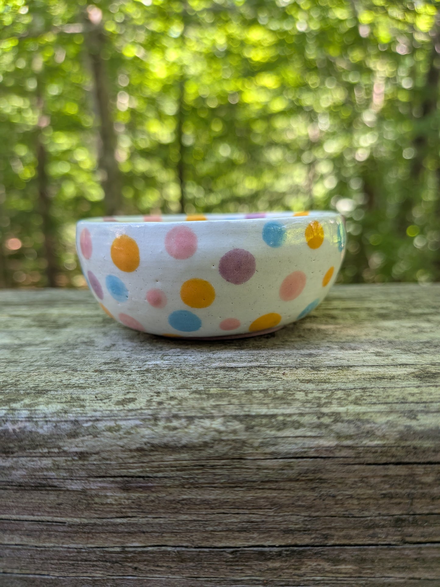 Polka Party Dip/Sauce Bowl